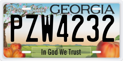 GA license plate PZW4232