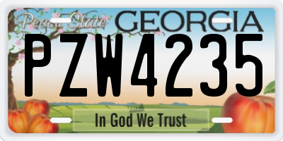 GA license plate PZW4235