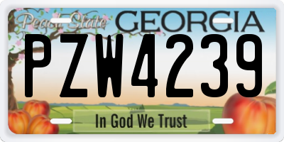 GA license plate PZW4239
