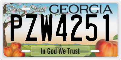 GA license plate PZW4251