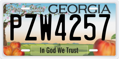 GA license plate PZW4257