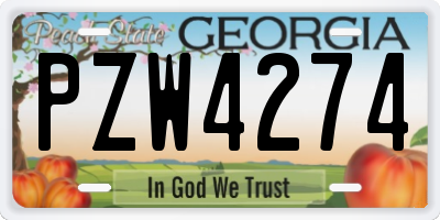 GA license plate PZW4274