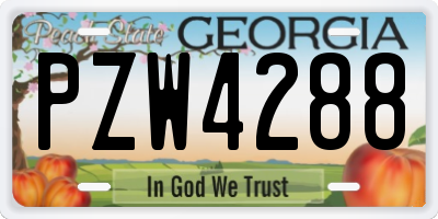 GA license plate PZW4288