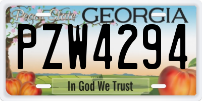 GA license plate PZW4294
