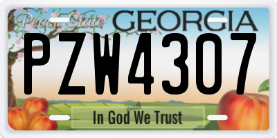 GA license plate PZW4307