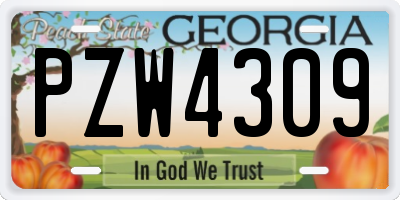 GA license plate PZW4309