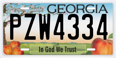 GA license plate PZW4334