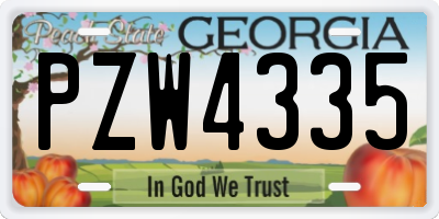 GA license plate PZW4335