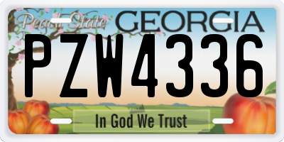 GA license plate PZW4336