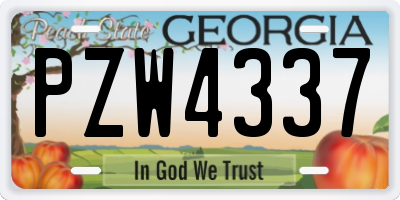 GA license plate PZW4337