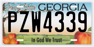 GA license plate PZW4339