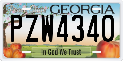 GA license plate PZW4340