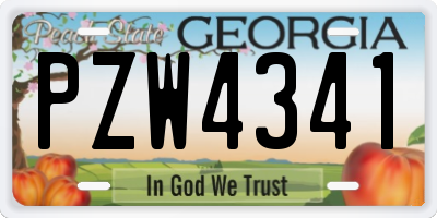 GA license plate PZW4341