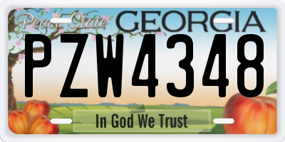 GA license plate PZW4348