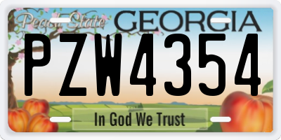 GA license plate PZW4354