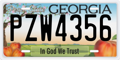 GA license plate PZW4356