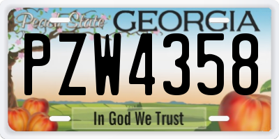 GA license plate PZW4358