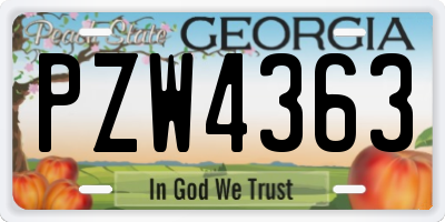 GA license plate PZW4363