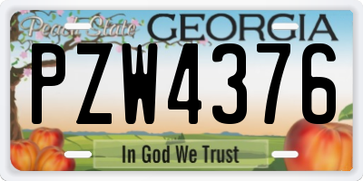 GA license plate PZW4376