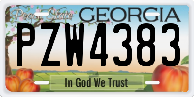 GA license plate PZW4383