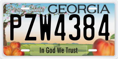 GA license plate PZW4384