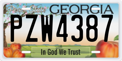 GA license plate PZW4387
