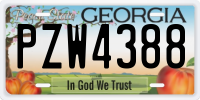 GA license plate PZW4388