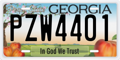 GA license plate PZW4401