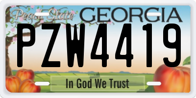 GA license plate PZW4419