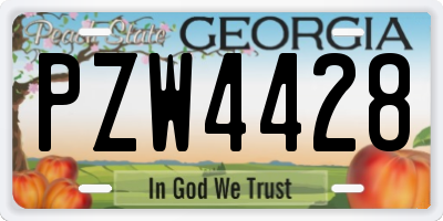 GA license plate PZW4428