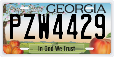 GA license plate PZW4429