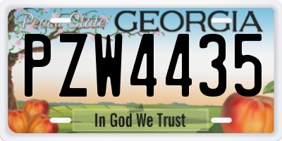 GA license plate PZW4435