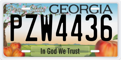 GA license plate PZW4436