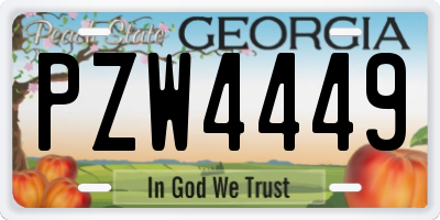 GA license plate PZW4449