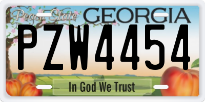 GA license plate PZW4454