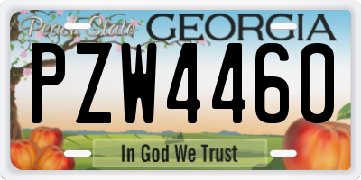 GA license plate PZW4460