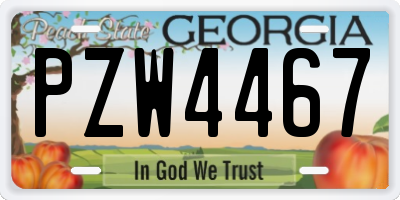 GA license plate PZW4467