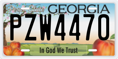 GA license plate PZW4470