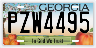 GA license plate PZW4495