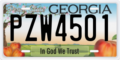 GA license plate PZW4501