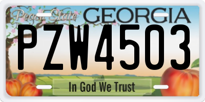 GA license plate PZW4503