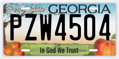 GA license plate PZW4504
