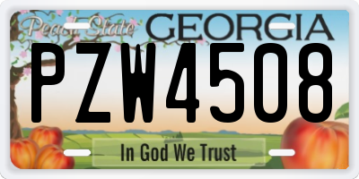 GA license plate PZW4508