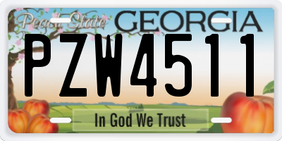 GA license plate PZW4511