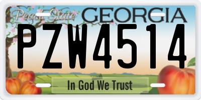 GA license plate PZW4514