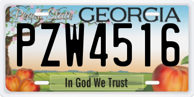 GA license plate PZW4516