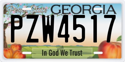 GA license plate PZW4517