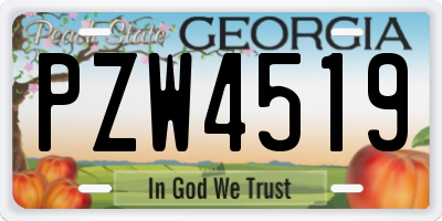 GA license plate PZW4519