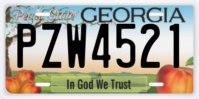 GA license plate PZW4521