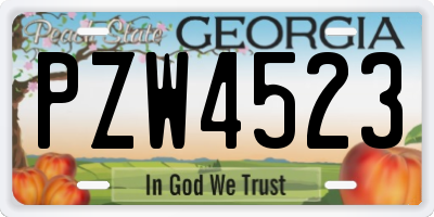GA license plate PZW4523